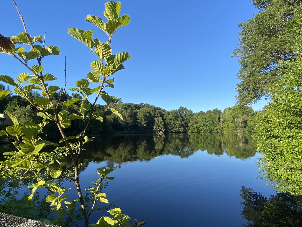 vue sur l'Étang de Pouyol et sa forêt