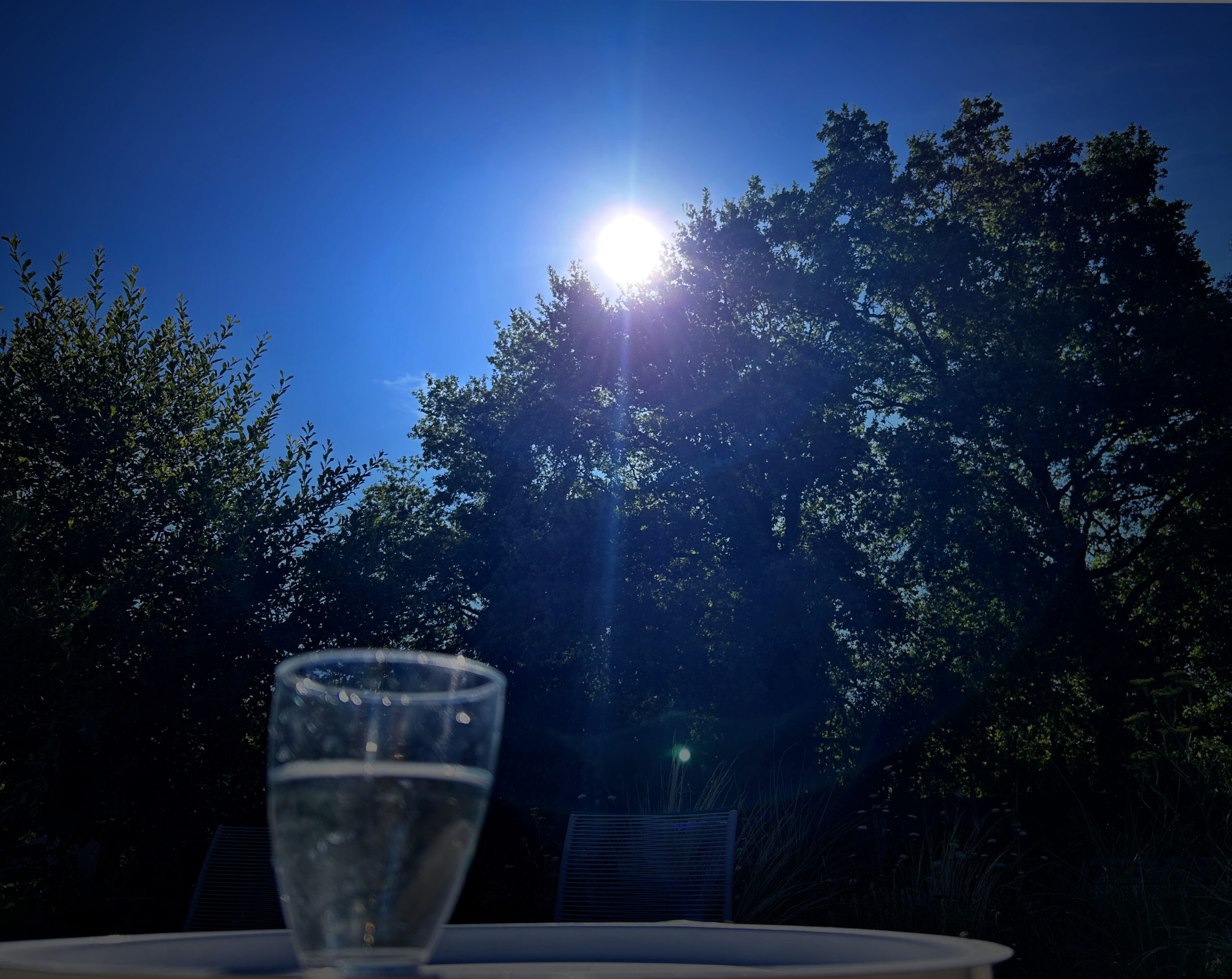 VIGILANCE CANICULE